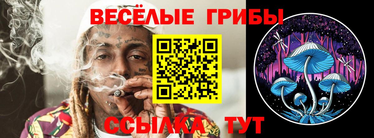 Псилоцибиновые грибы MAGIC MUSHROOMS Кузнецк